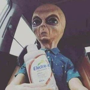 Meet your Posher, Oscar